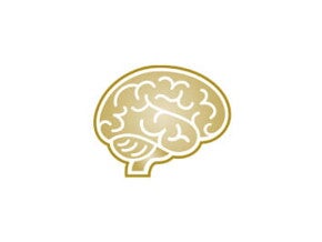Desarrollo cognitivo Desarrollo cognitivo