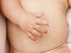 Los probióticos, ¿qué son? Los probióticos, ¿qué son?