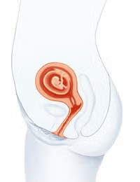 Cambios en el cuerpo Cambios en el cuerpo