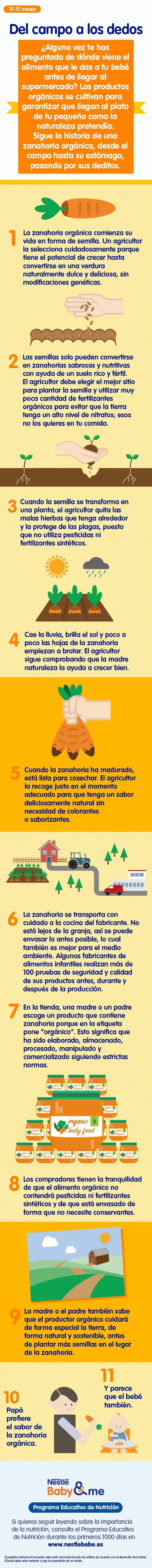 Comida orgánica y alimentación infantil, infografía Comida orgánica y alimentación infantil, infografía