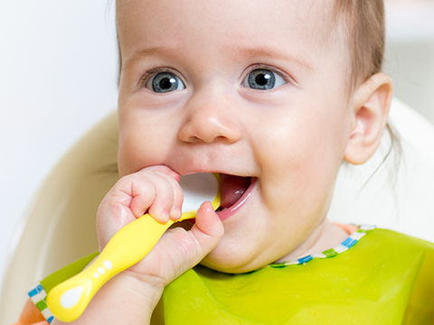 Alimentacion del bebe