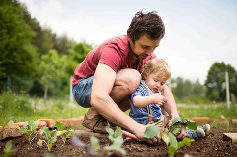 Alimentación Infantil BIO