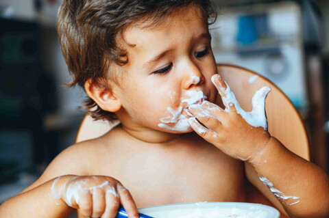 Lácteos y meriendas para bebés